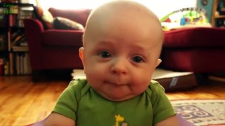 Top 10 Funny Baby Videos 2016