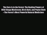Read The Cure Is in the Forest: The Healing Powers of Wild Chaga Mushroom Birch Bark and Poplar