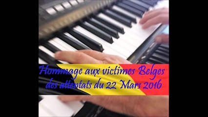 Hommage aux victimes Belges des attentats du 22 Mars 2016