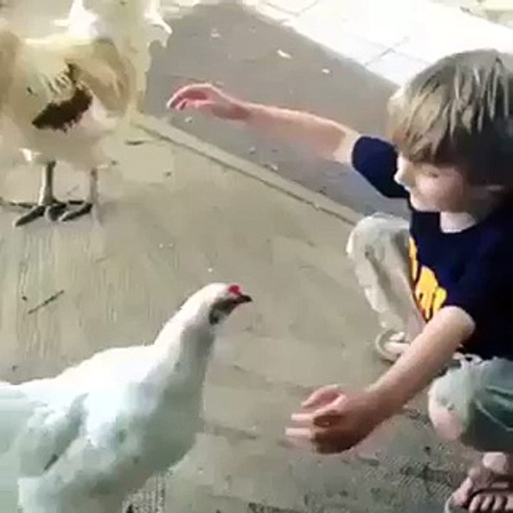 amazing love of animal with human