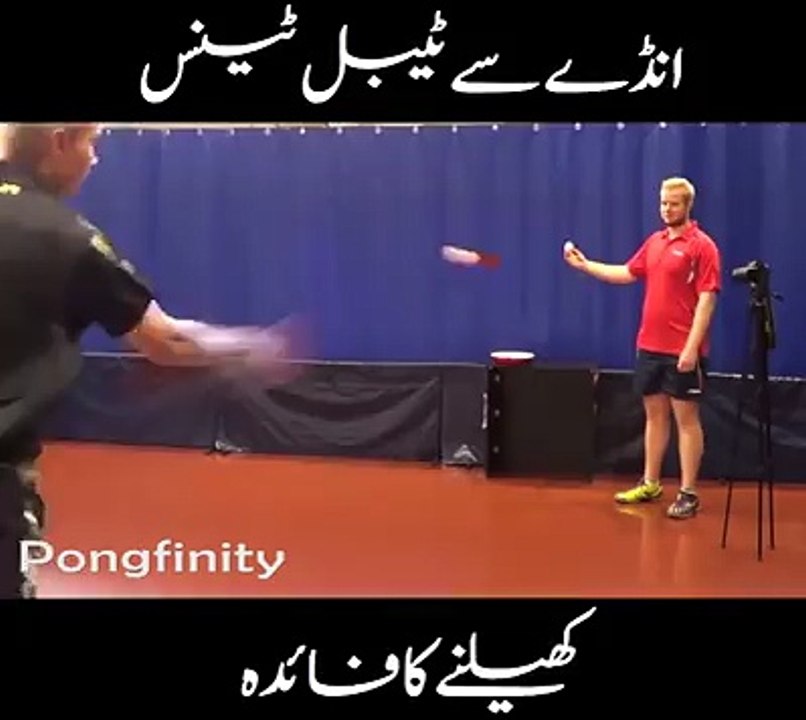 Egg vs Table tennis ball video