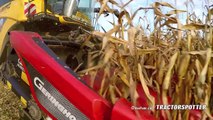 New Holland CR 10.90 on tracks | Corn and Corn Cob Harvest | Aernouts Tax