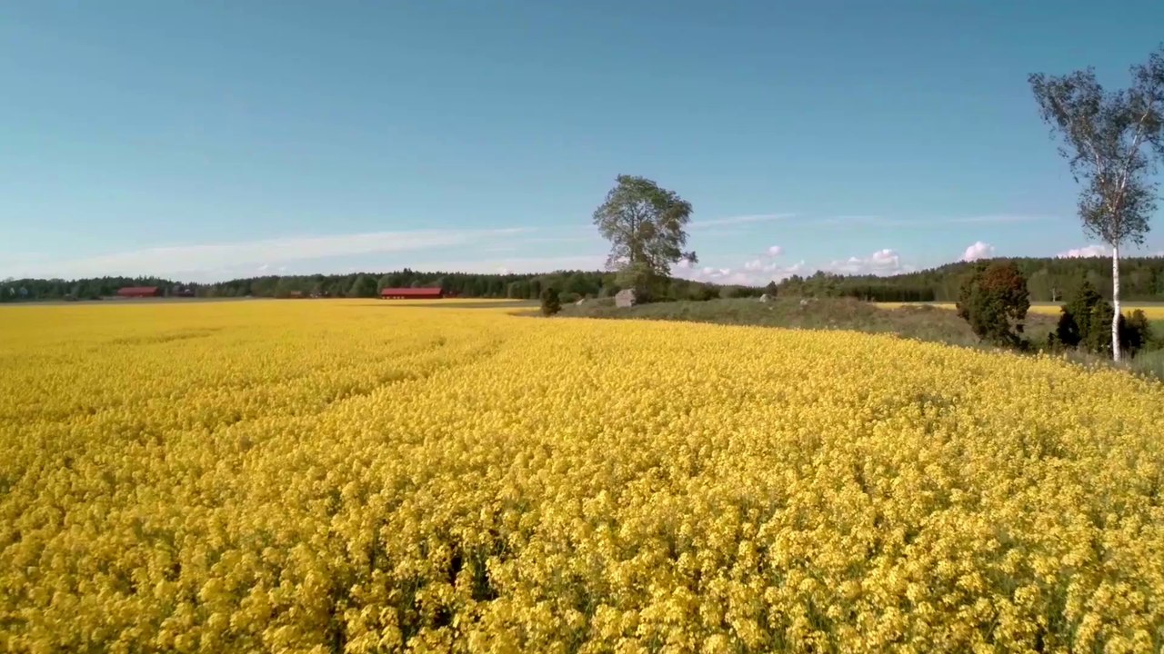 Welcome to Uppsala - Uppsala, Sweden