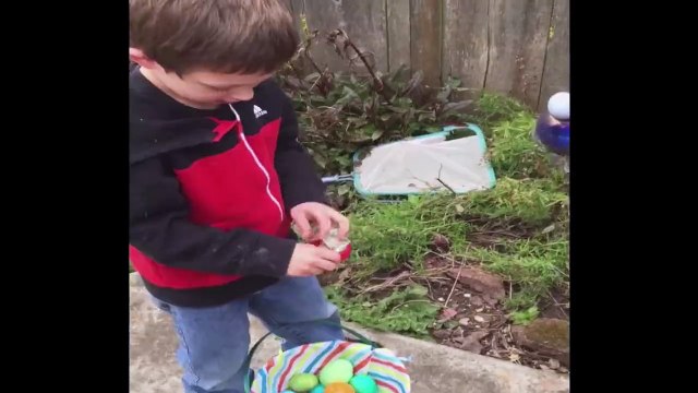 Ce gamin ne voit pas l'oeuf de Paques qui est juste sous son nez