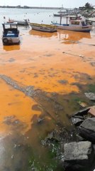 Silivri'de Deniz Kızıla Büründü