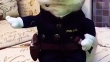 A cop cat