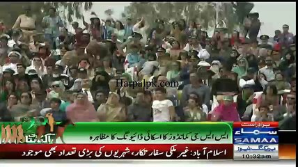 paratrooper(sky diver) jump on 23 march