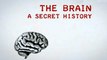 ВВС: Мозг. Тайны сознания 3. Взломанный мозг (2010)