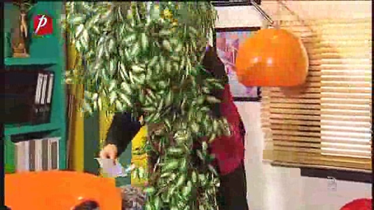 Trasnitii-Episoade Sezonul 26 Episodul 7- Tentative de impacare