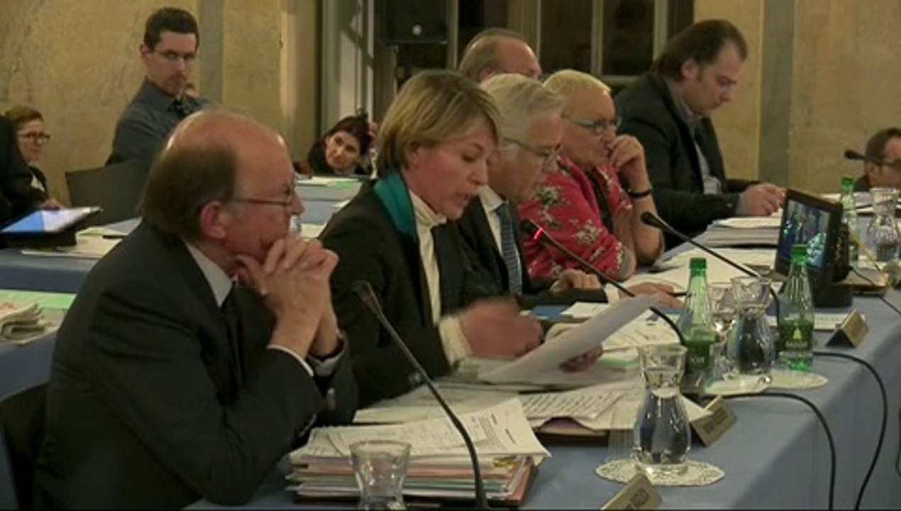 Nathalie KOENDERS Budget 2016 Dijon