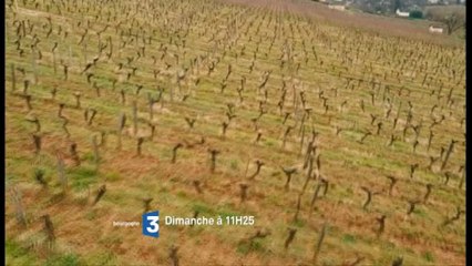 Arbois et le vin (bande-annonce)