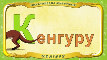 Мультипедия животных. Буква К Кенгуру