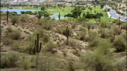 GIANT TORTOISE & TURTLES 39