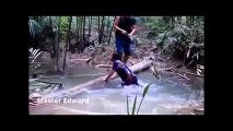 Funny videos Funny vines Funny pranks Try not to laugh Best fails