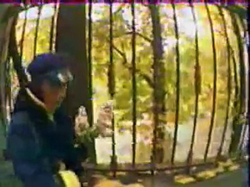 Фристайл - Сирень.  video
