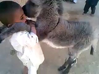 واہ چھوٹو واہ