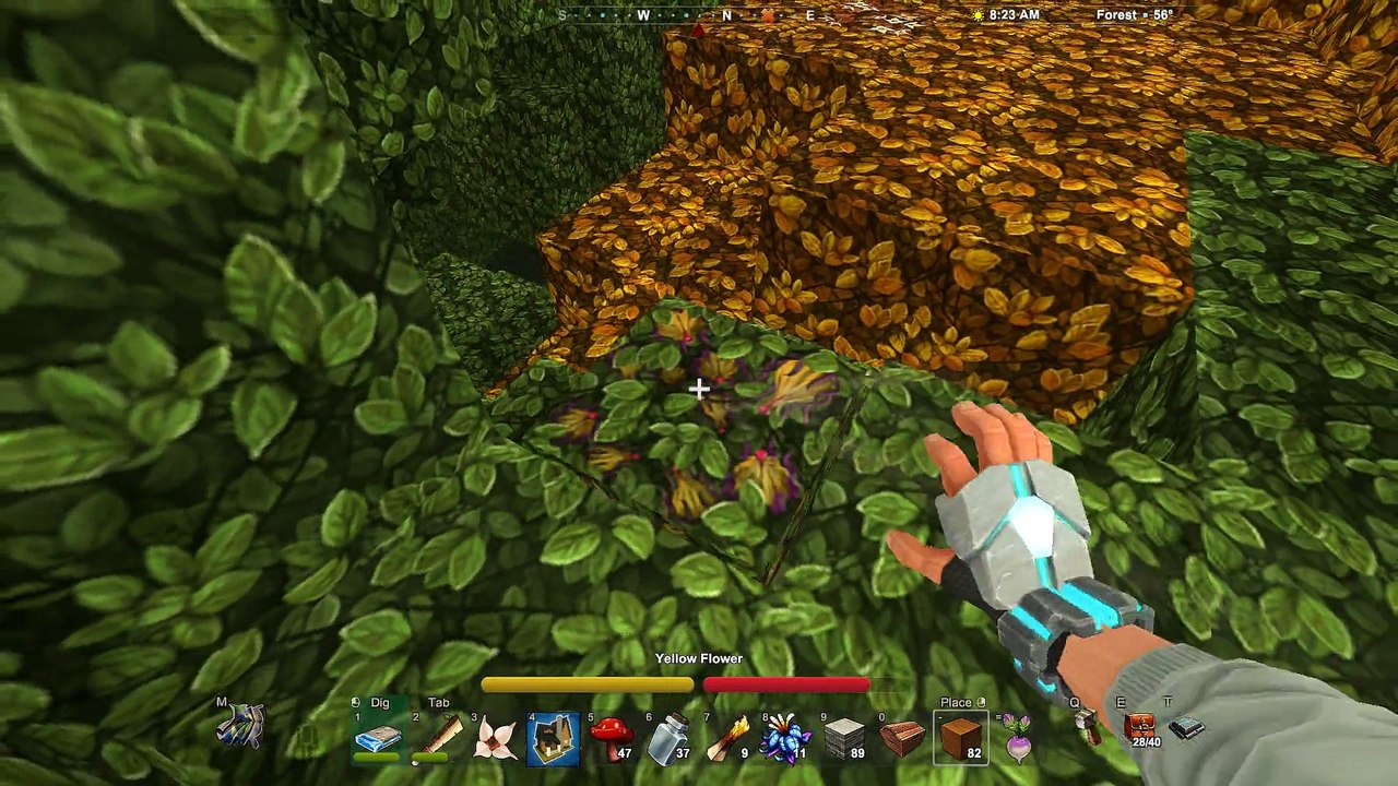 Creativerse