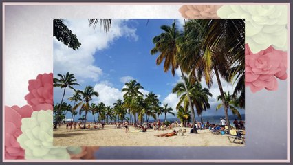 Are Last Minute Cruise Deals Worth The Wait?