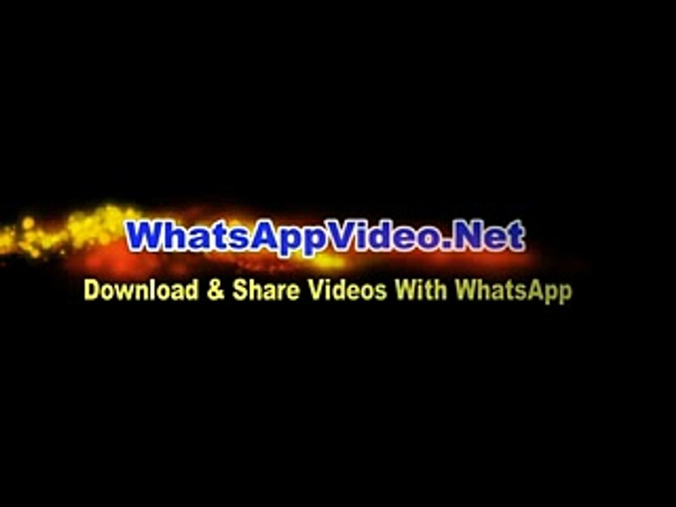 Dog_Trying_To_Catch_Dirt - Funny Videos
