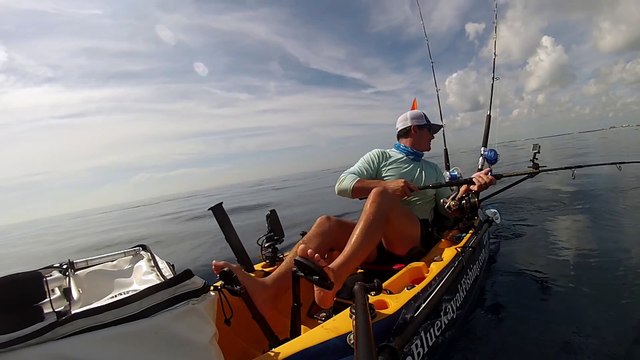 Un requin attaque le poisson d'un pêcheur en Kayak