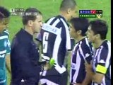 Palmeiras vs Botafogo - Skill Valdivia