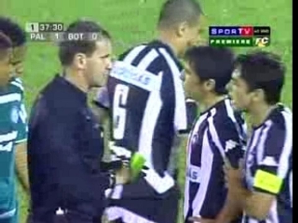 Palmeiras vs Botafogo - Skill Valdivia