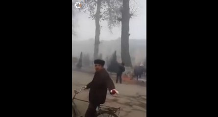 Vieux cycliste vs arbre