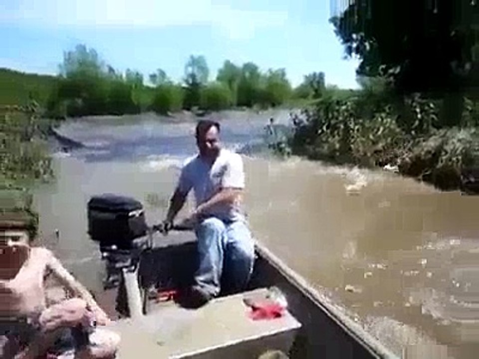 Fish_War_Got Them_Scared - Funny Videos