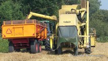 1961 Claeys / Clayson M103 combining wheat | Van Der Sluis Klaaswaal | Harvest 2014