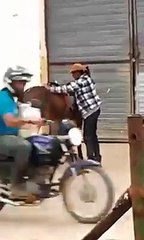 هههه شوفو نتيجة الكحول شنوا صارلو