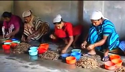 Intersting video of Fishing in Kerala, India
