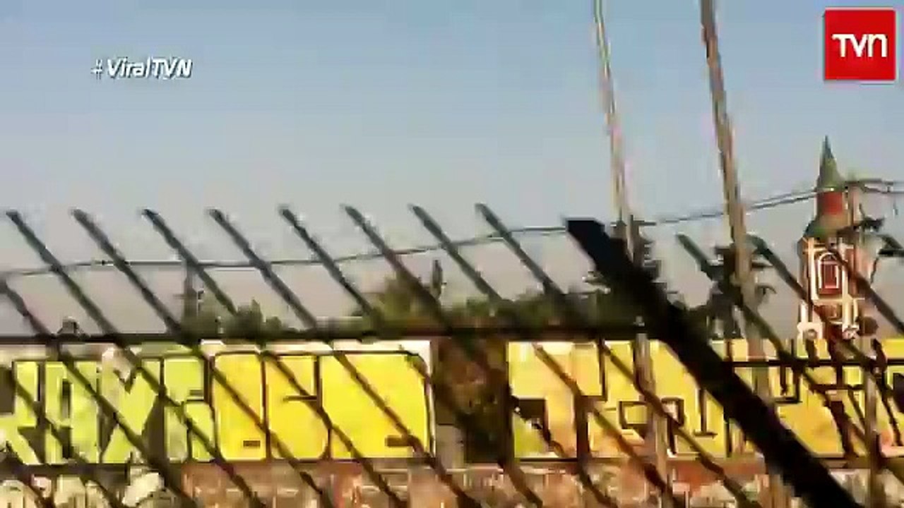 Viral Capitulo 4