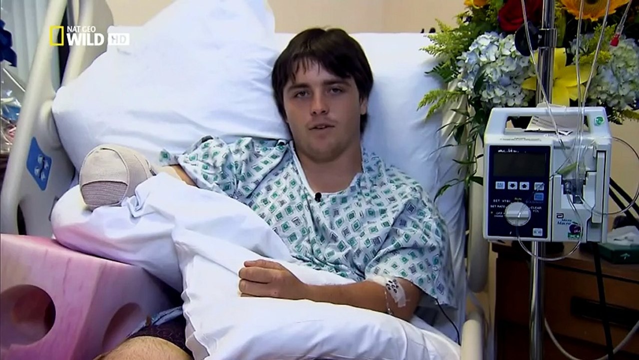 Muhteşem Yırtıcılar :  Öfke (Nat Geo Wild Türkçe Belgesel)