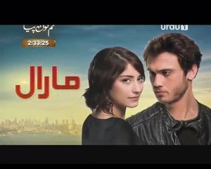 Maral Episode 50 on Urdu1 P1