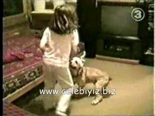 Perverted little dog