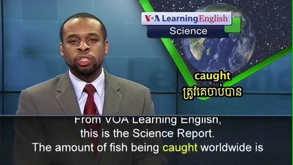 Worlds Fishing Catch Is Underreported, Shrinking