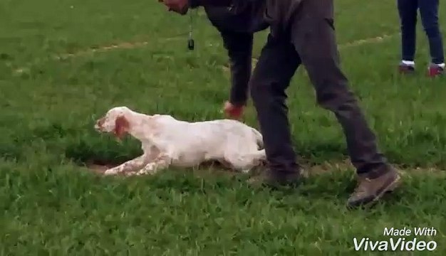 Lexelle des petites fougeres a 6 mois