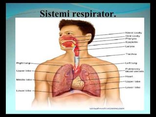 Lajme - Dita Boterore e Tuberkulozit