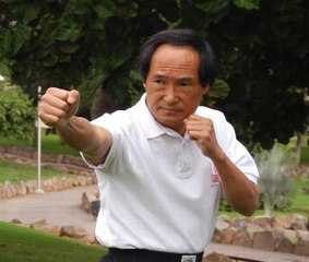 Jeet Kune Do Ted Wong