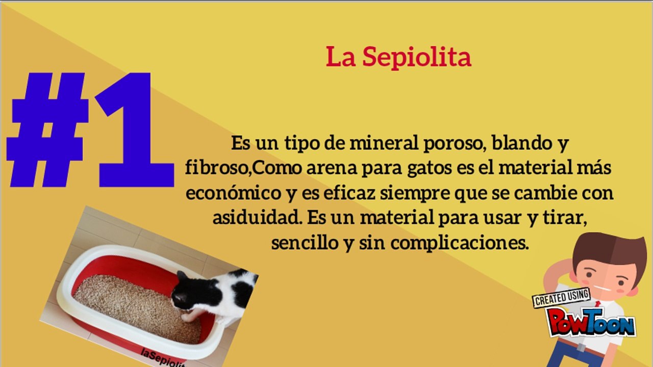 Diferentes tipos de arena para gatos