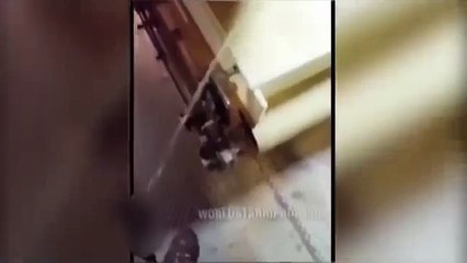 Un employé se filme en train d'uriner dans des céréales