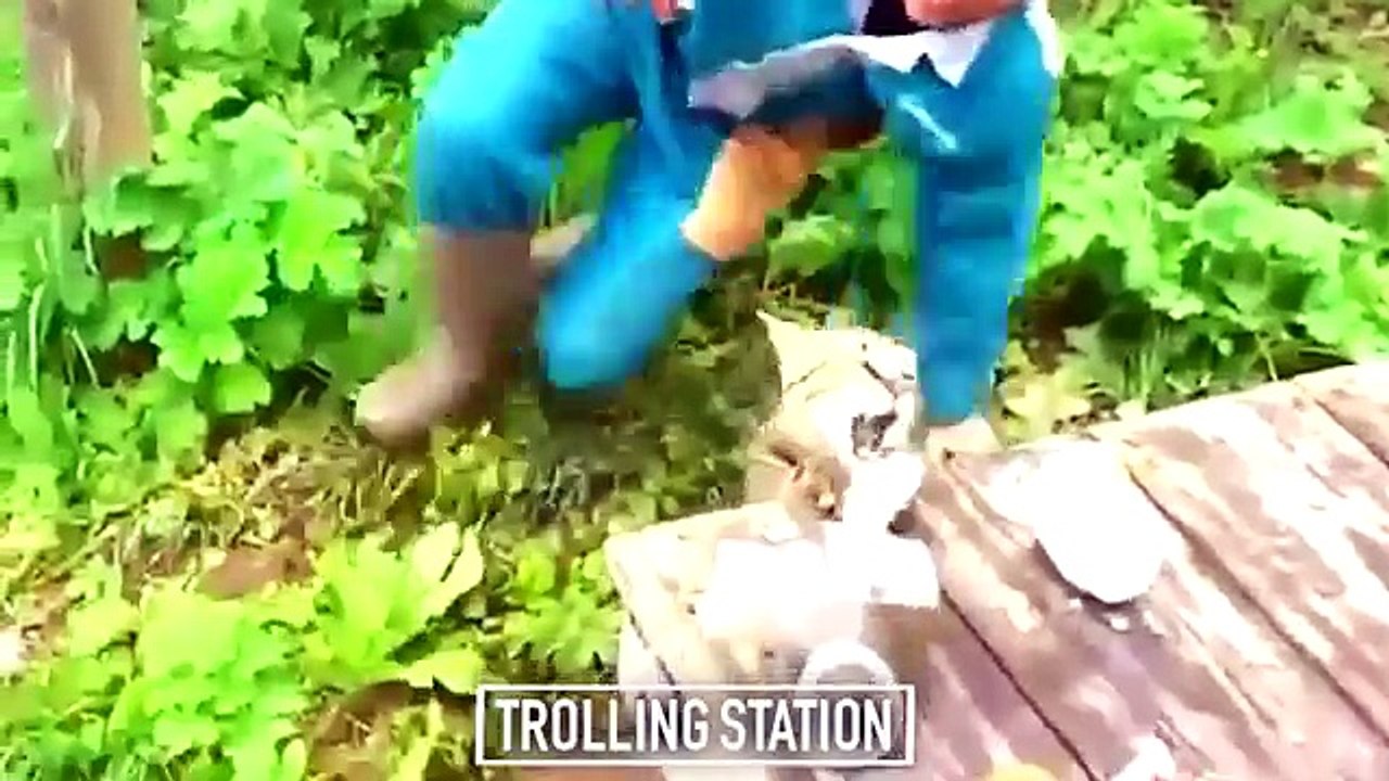 Funny Videos ★ Best Funny Fail Compilation ★ Funny Videos 2016