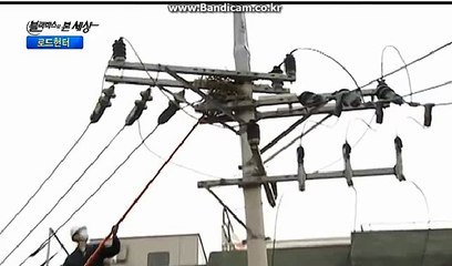 함께할수있는 스포츠 토토솔루션 판매 올자동 からBK-SOFT 솔루션 (해외서버호스팅,D-Dos방어)