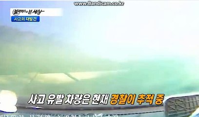 #사설사이트 솔루션 임대 및 판매 카톡:haricuty 스카이프:haricuty