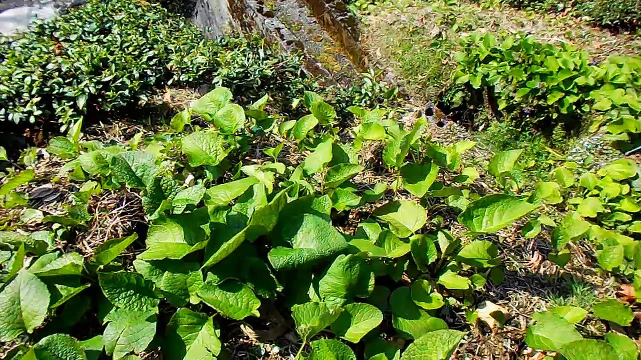 22 Mart2016Çiftlik Dereleri1