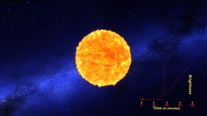Caught for the First Time- The Early Flash of an Exploding Star