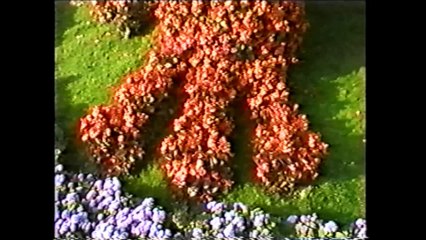 7.   LE JARDINIER DE LA VILLE  ( Au Carrefour de Ma Vie )