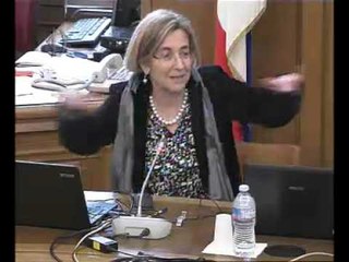 Roma - Commercio elettronico, audizione Montemagni (23.03.16)