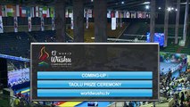 Чемпионат Мира по ушу таолу 2015 г  aрена 2  день 4 33
