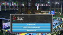 Чемпионат Мира по ушу таолу 2015 г  aрена 2  день 4 42